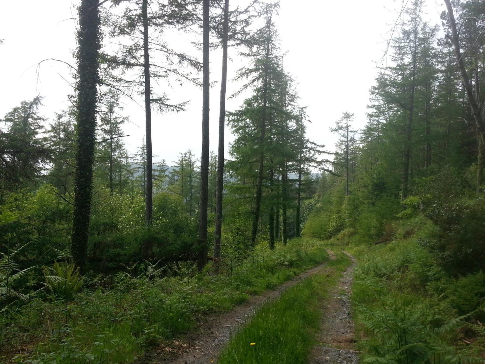 Vila Ty Capel Isa Blaenau Ffestiniog Exteriér fotografie